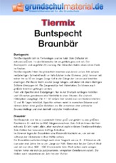 Buntspecht - Braunbär.pdf